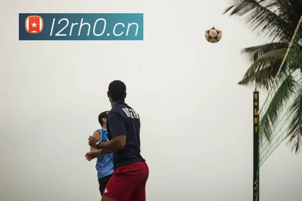 九游网页版入口登录平台生态图